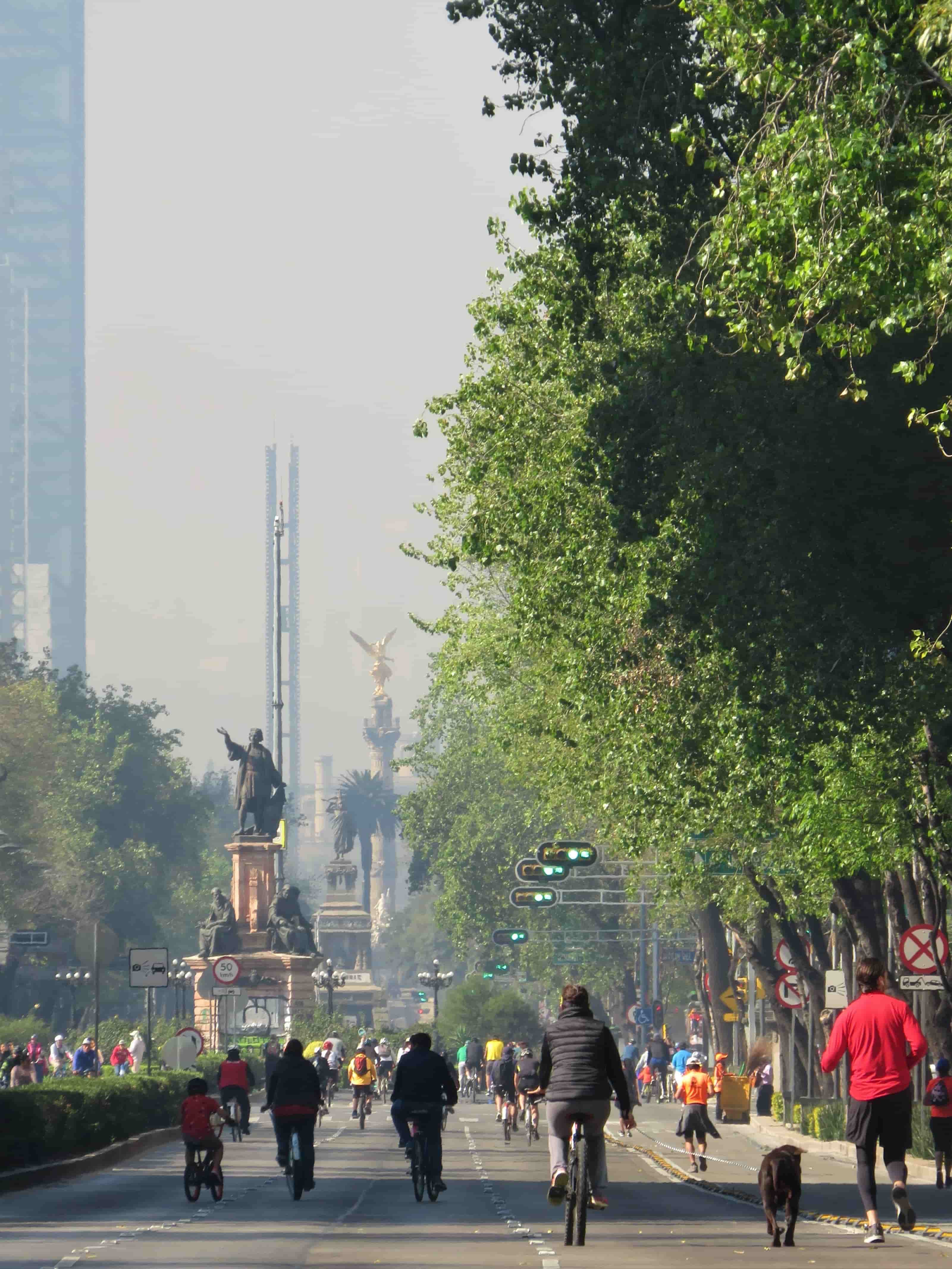 Paseo en bici: top talleres de bicis