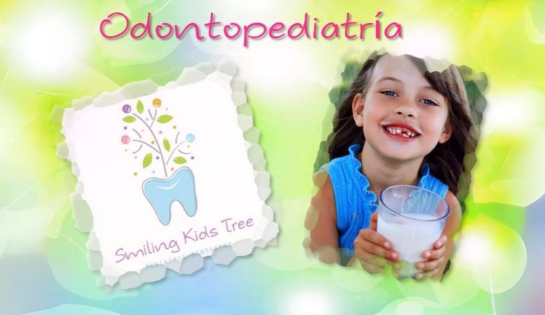 Smiling Kids Tree - 50% de descuento en Exclusiva en Valoración.