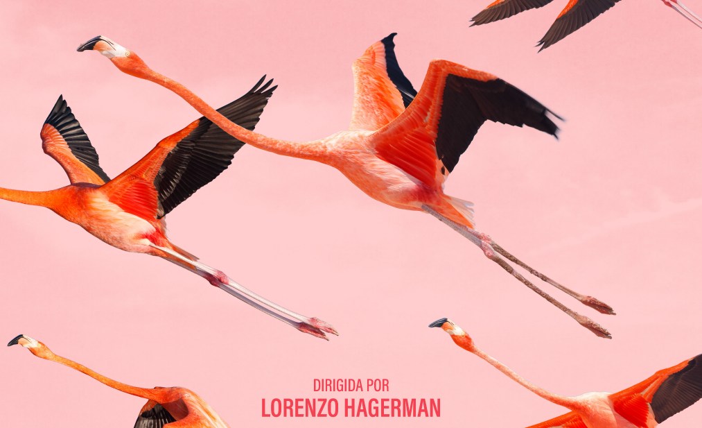 En el Día Mundial de la Naturaleza se anuncia el estreno de "Flamingos"