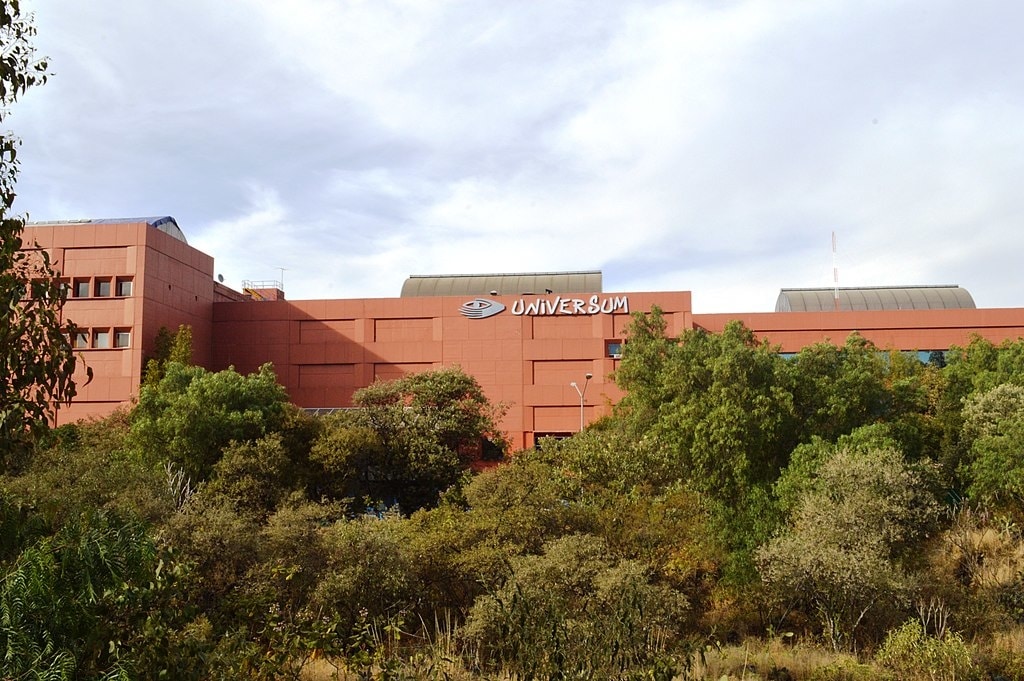 La ciudad con más museos: ruta de museos diferentes