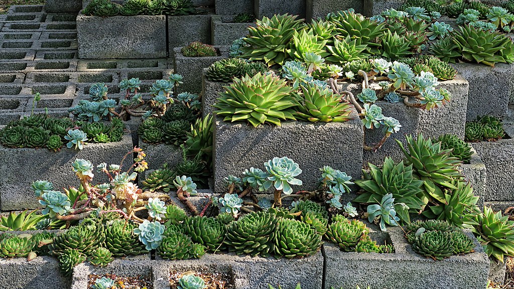 Qué hacer este fin de semana en la CDMX