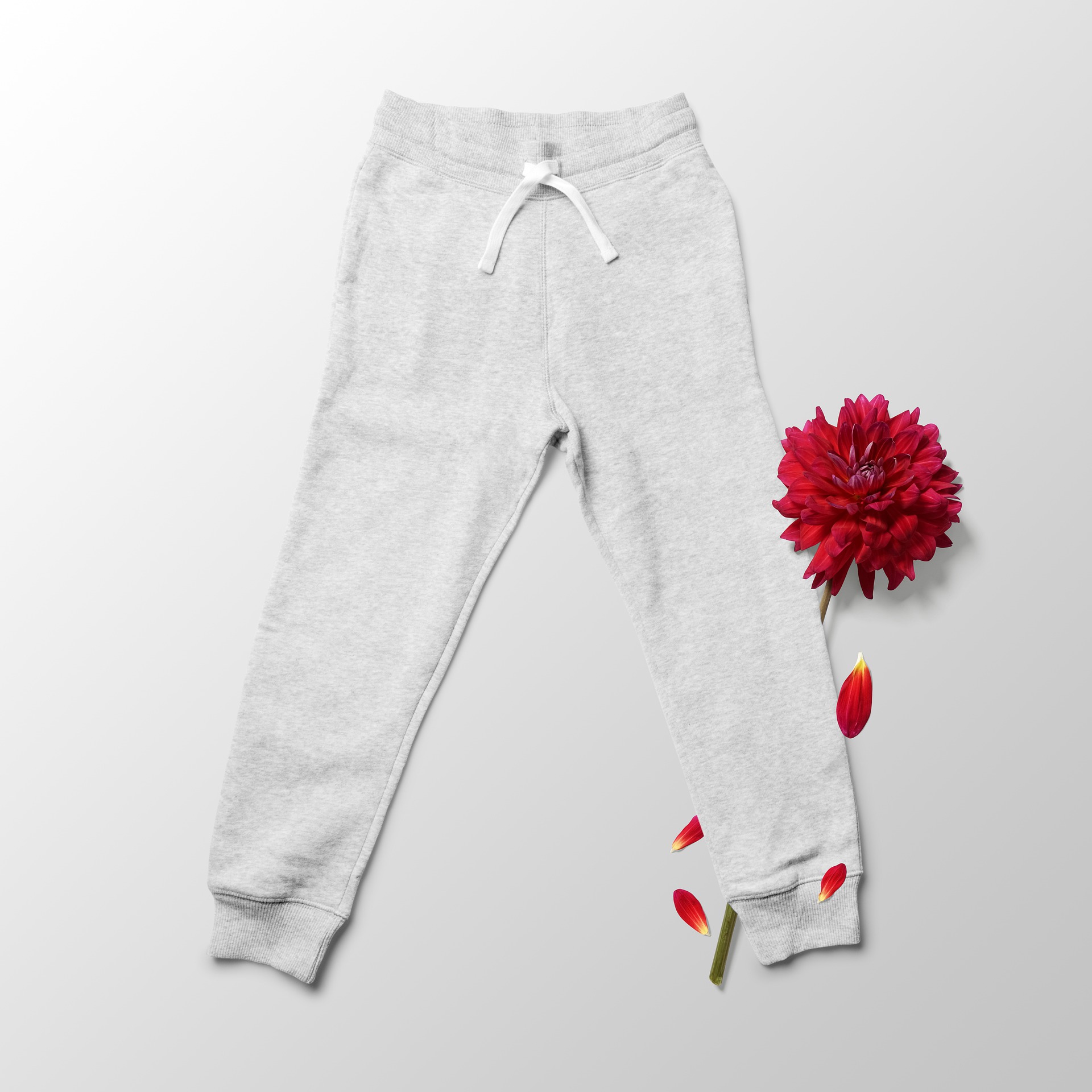 Pants de entrenamiento, un nuevo básico